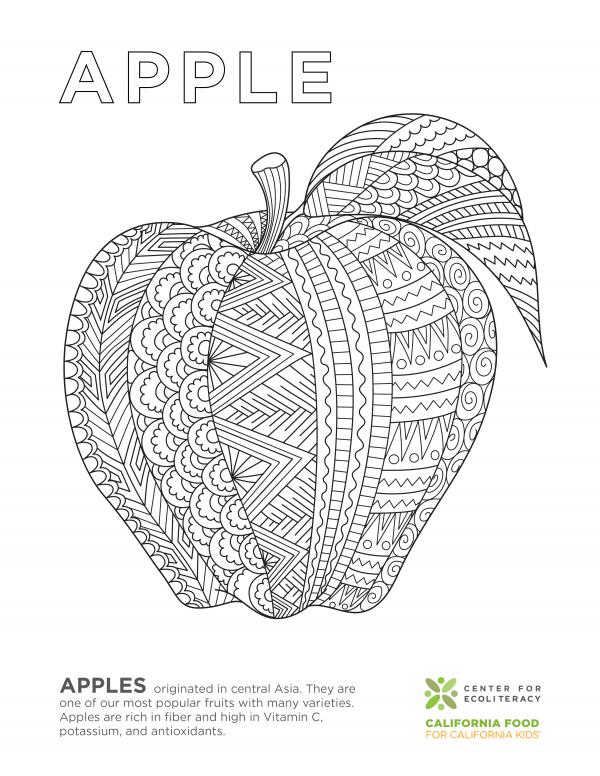 coloring_page_apple.jpg