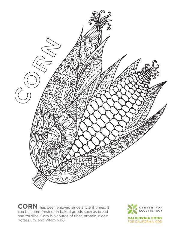 coloring_page_corn.jpg