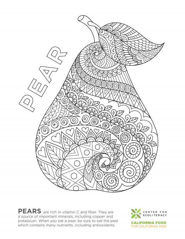 coloring_page_pear.jpg