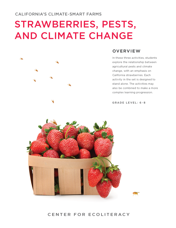 climate smart strawberries