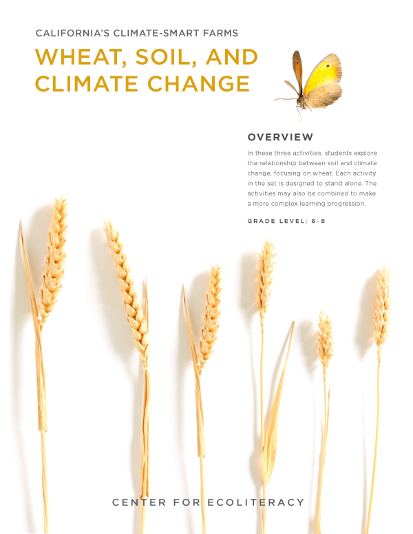 climate smart wheat