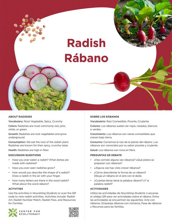 Nourishing Students learning card image with radish