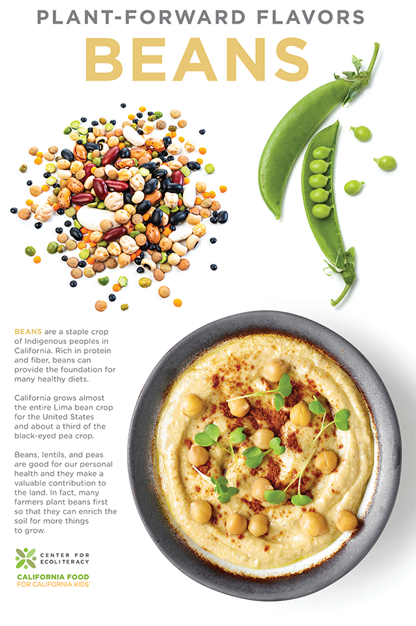 poster with beans, lentils and peas