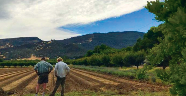 farmers on farm