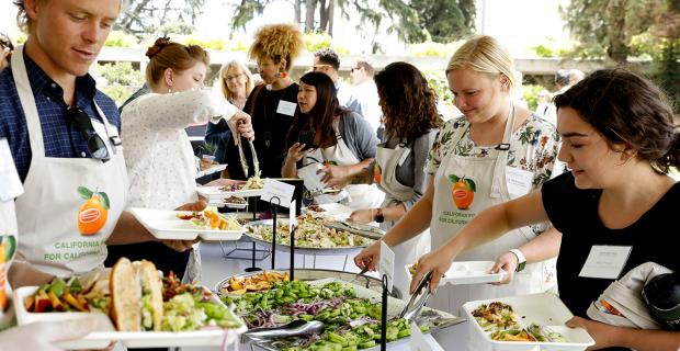 lunch dishes made by hands-on cooking in teams