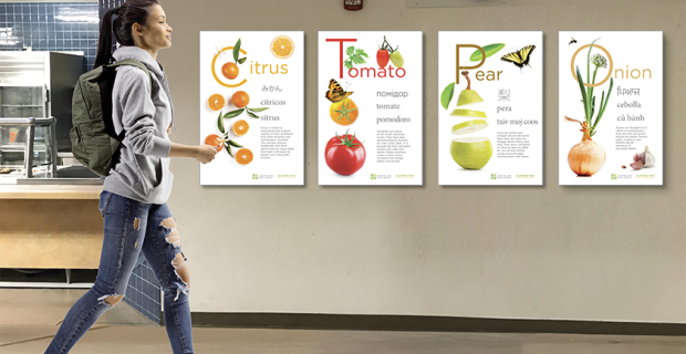 posters in cafeteria