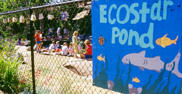 EcoStars: Enabling Students to Become Environmental Stewards