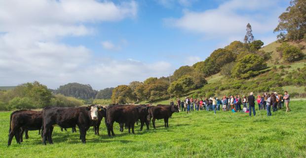 Climate-Smart Ranching: An Interview with Kat Taylor and Wendy Millet