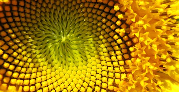 Solving for Pattern