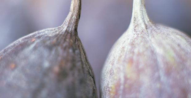 Alice Waters applies a ‘Delicious Revolution’ to school food