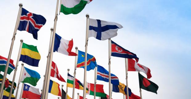 The Ecological Worldview: Hearing the Cries of the World