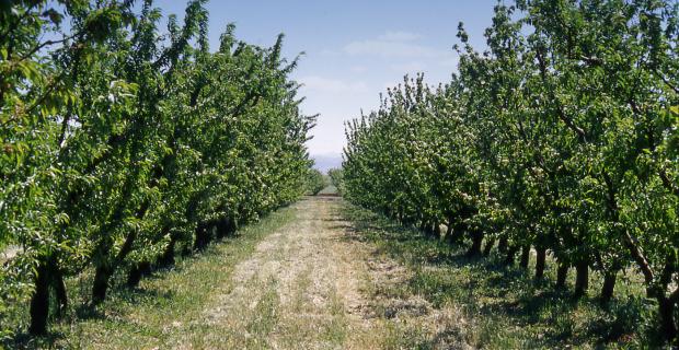 Farming for the future