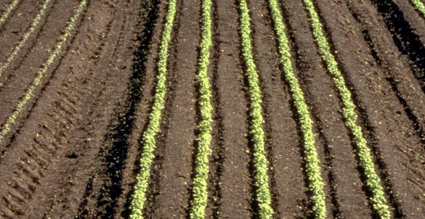 how can we solve local problems Food Security - It Takes a Community