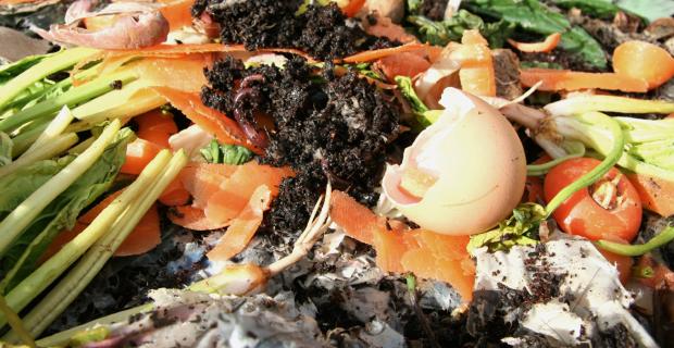 How worms saved a school district over $6,000 in dumpster fees