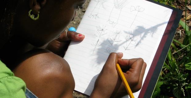 Imagining an Urban Nature Agenda