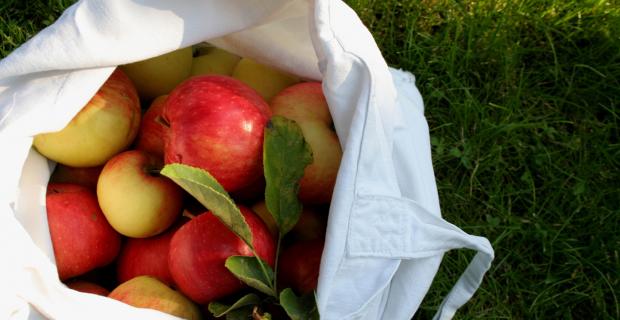Neither Paper nor Plastic: Eating Outside the Lunch Box