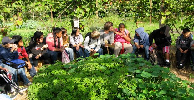 The School in Every Garden