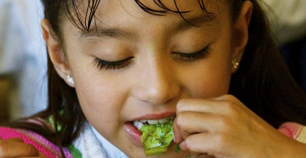 School Lunch Initiative Evaluation