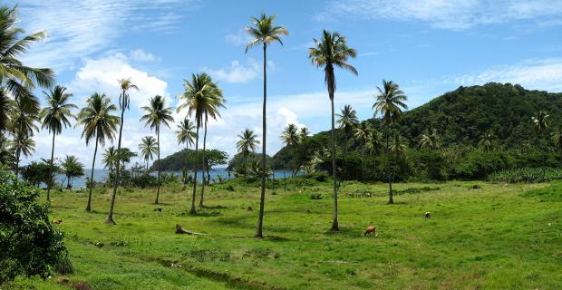 Solutions That Serve People and the Environment