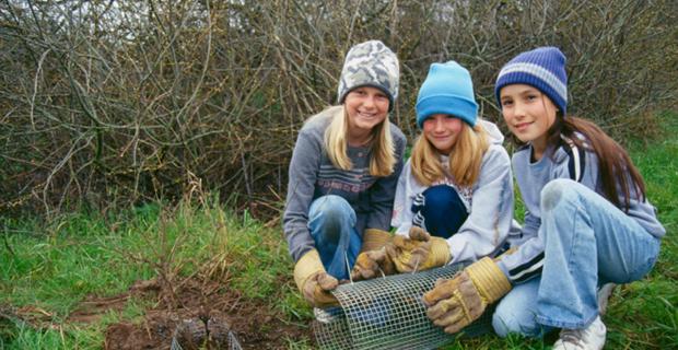 straw students and teachers restoring a watershed