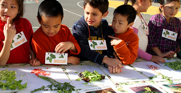 Produce Lesson for Students on Broccoli Team